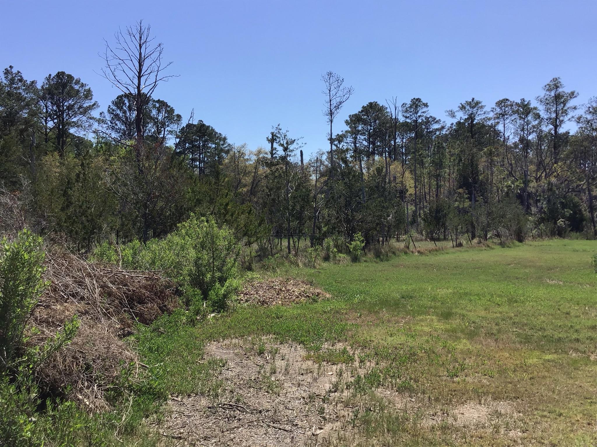Tract B Wilson Road Meggett, SC 29449 - Photo 43 of 74 D_Urban_IMG_0592