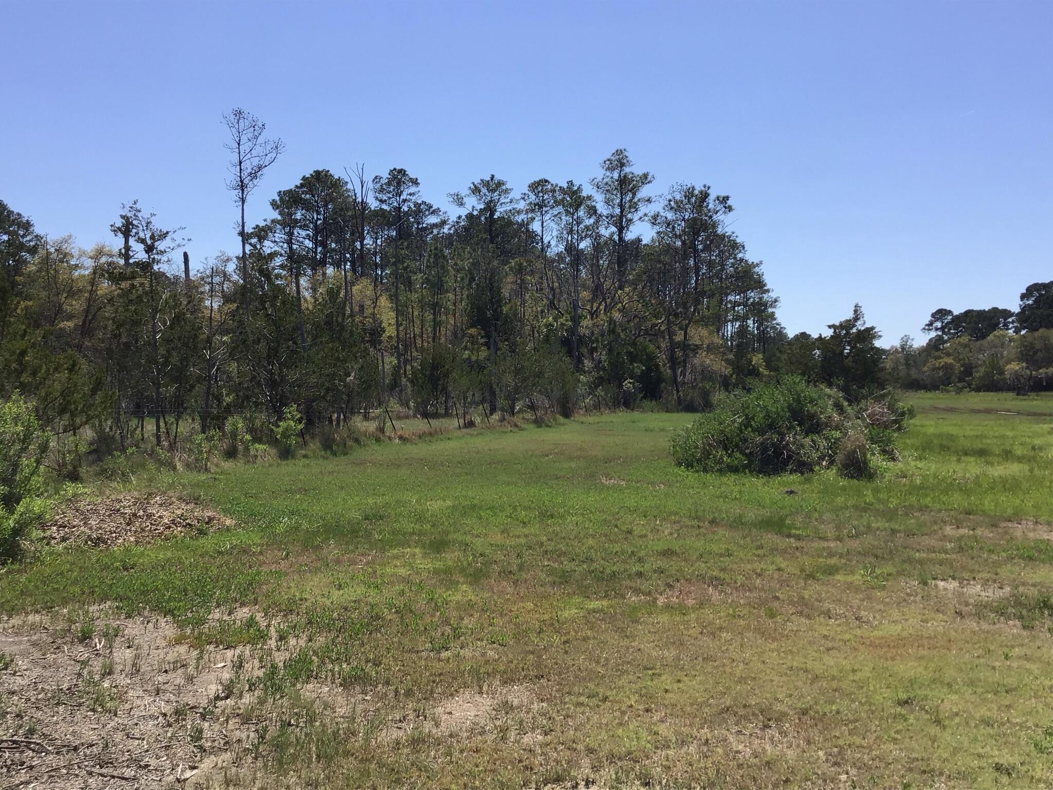 Tract B Wilson Road Meggett, SC 29449 - Photo 44 of 74 D_Urban_IMG_0593