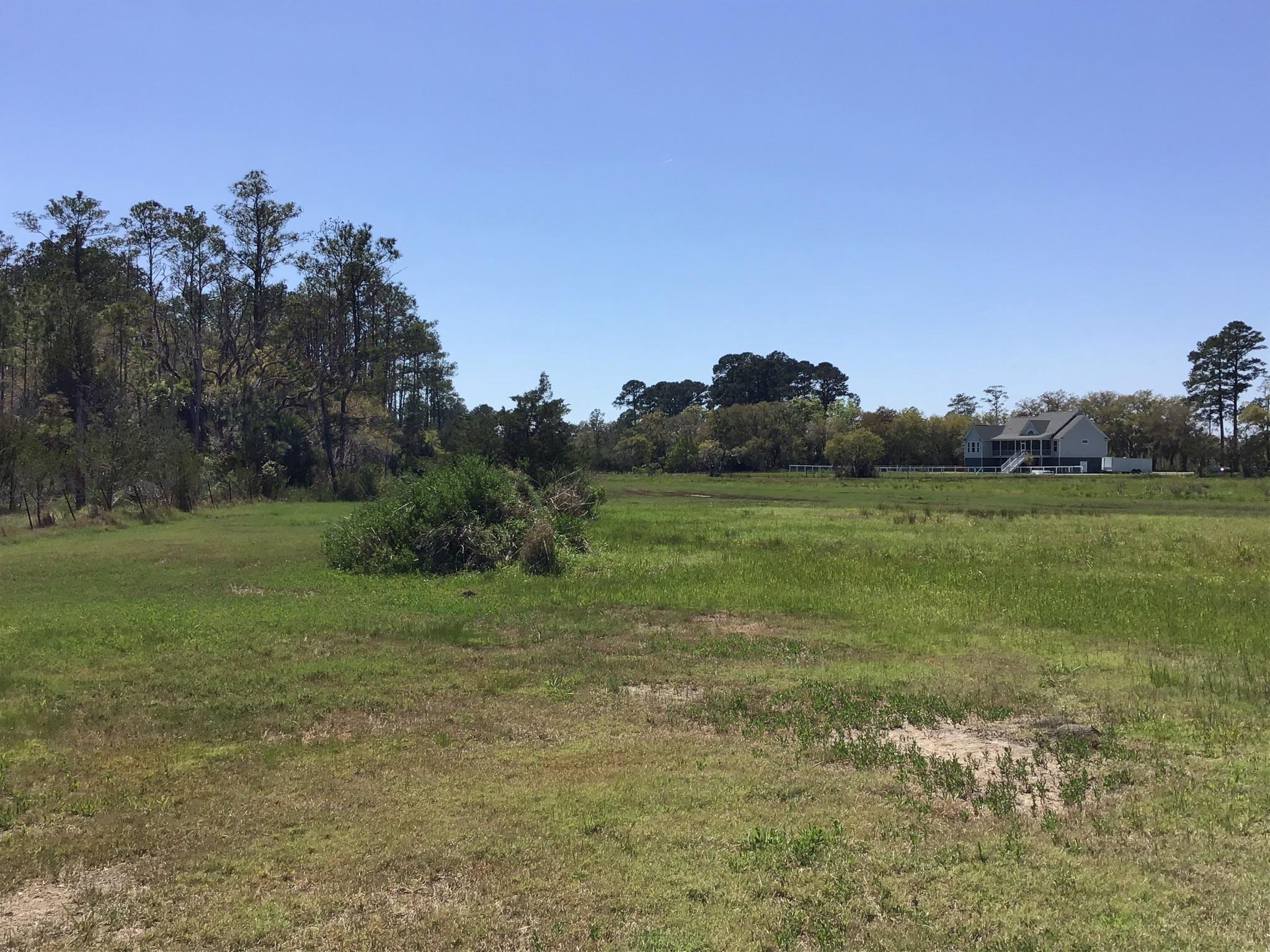 Tract B Wilson Road Meggett, SC 29449 - Photo 45 of 74 D_Urban_IMG_0594