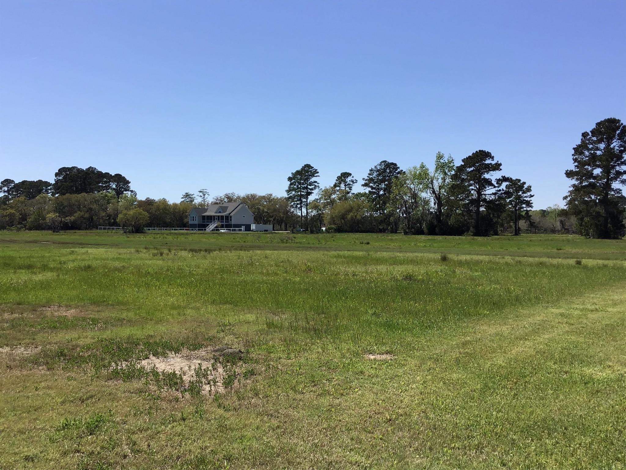 Tract B Wilson Road Meggett, SC 29449 - Photo 47 of 74 D_Urban_IMG_0596