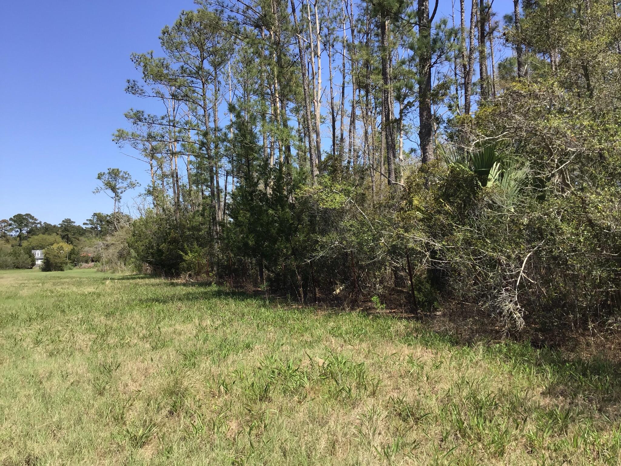 Tract B Wilson Road Meggett, SC 29449 - Photo 50 of 74 D_Urban_IMG_0601