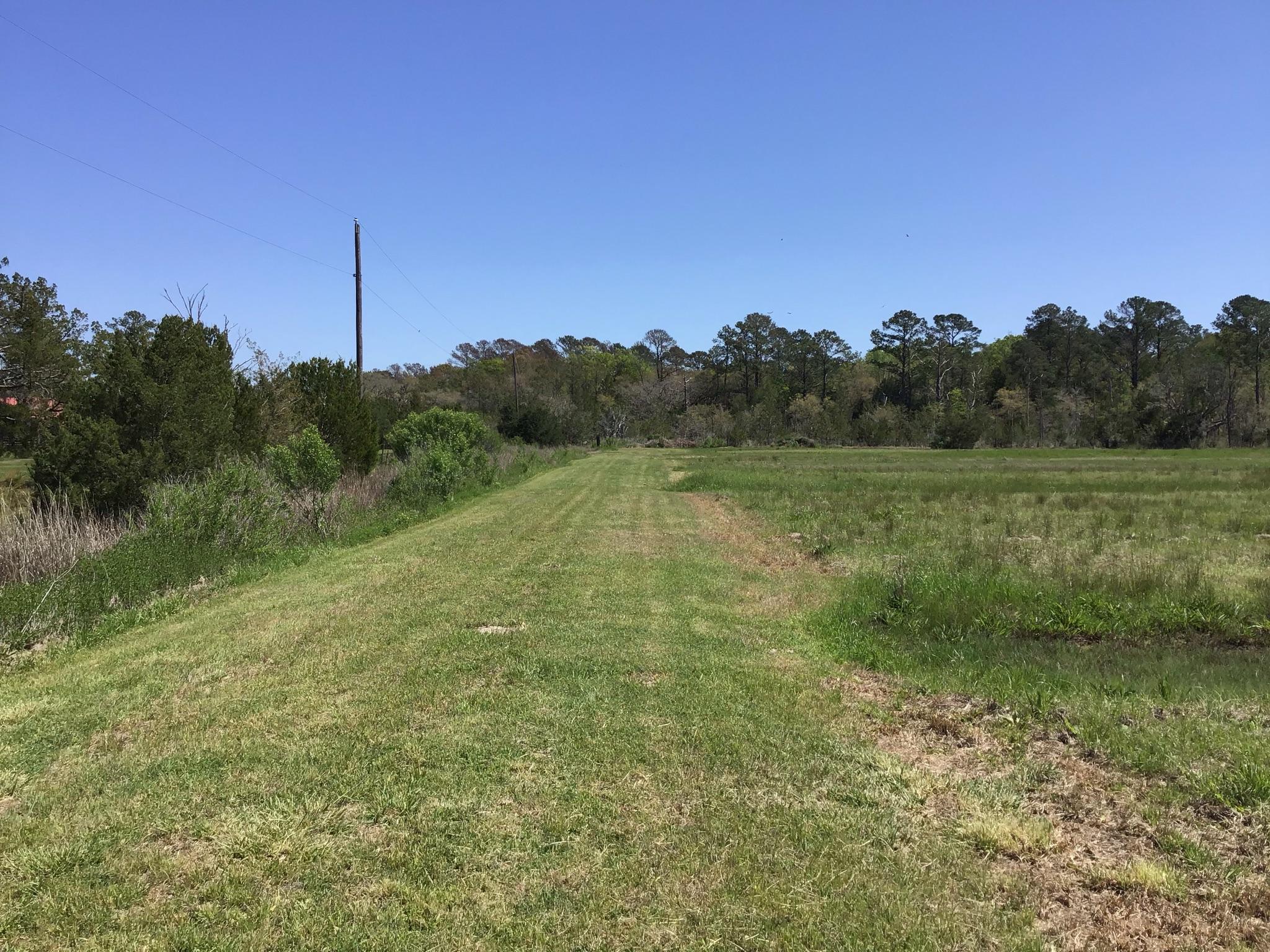 Tract B Wilson Road Meggett, SC 29449 - Photo 6 of 74 D_Urban_IMG_0550