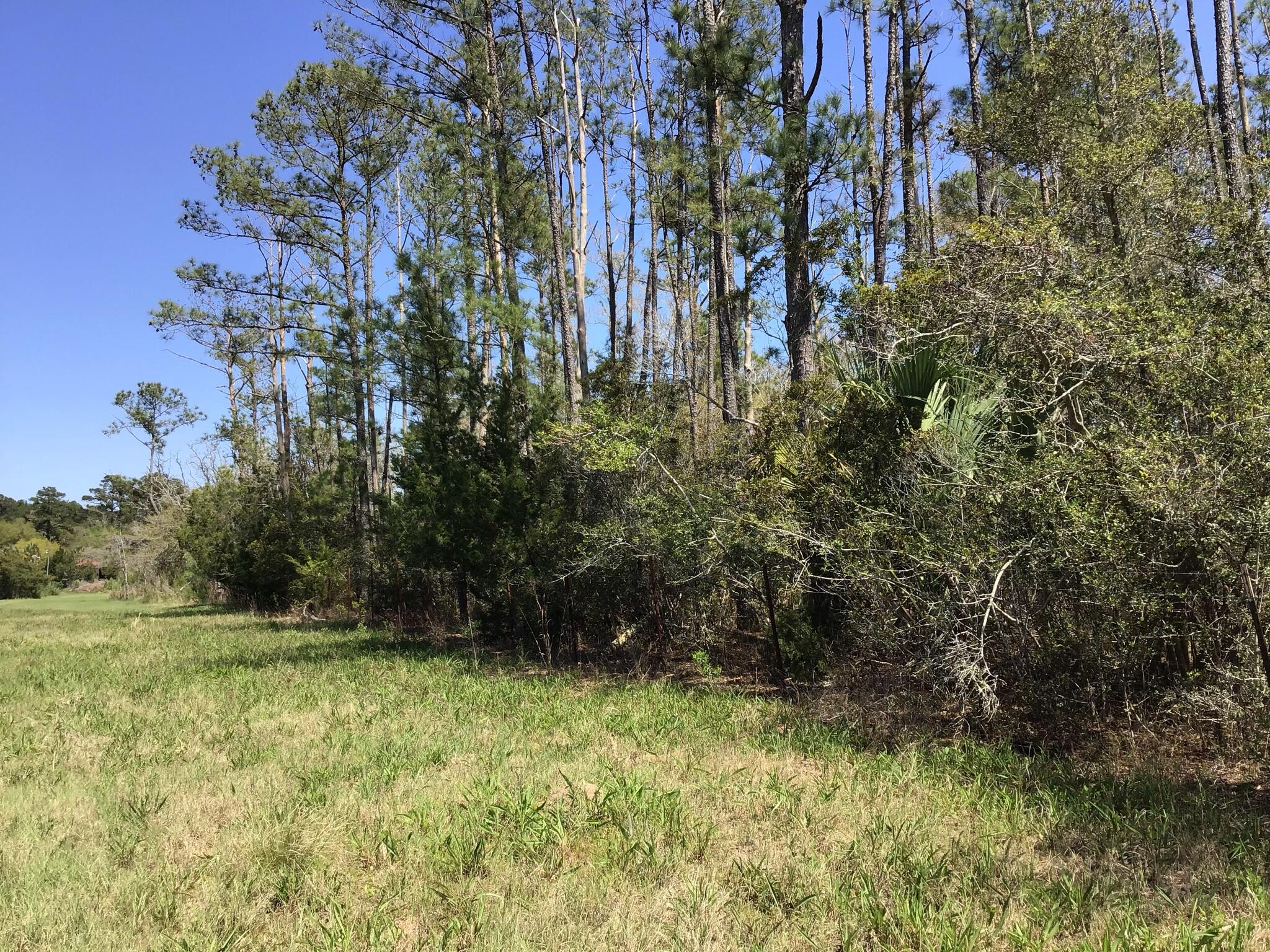 Tract B Wilson Road Meggett, SC 29449 - Photo 51 of 74 D_Urban_IMG_0602