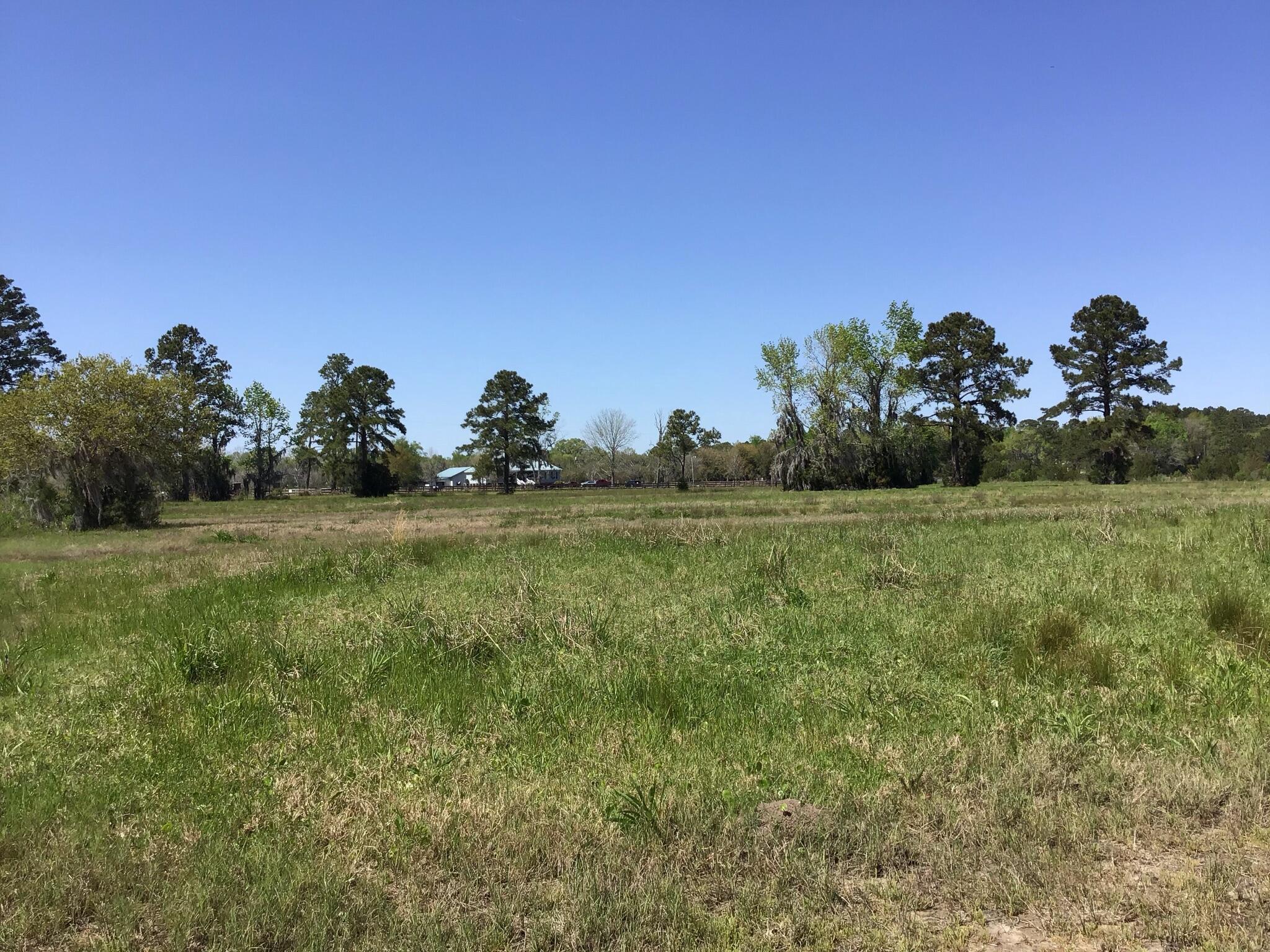 Tract B Wilson Road Meggett, SC 29449 - Photo 53 of 74 D_Urban_IMG_0604