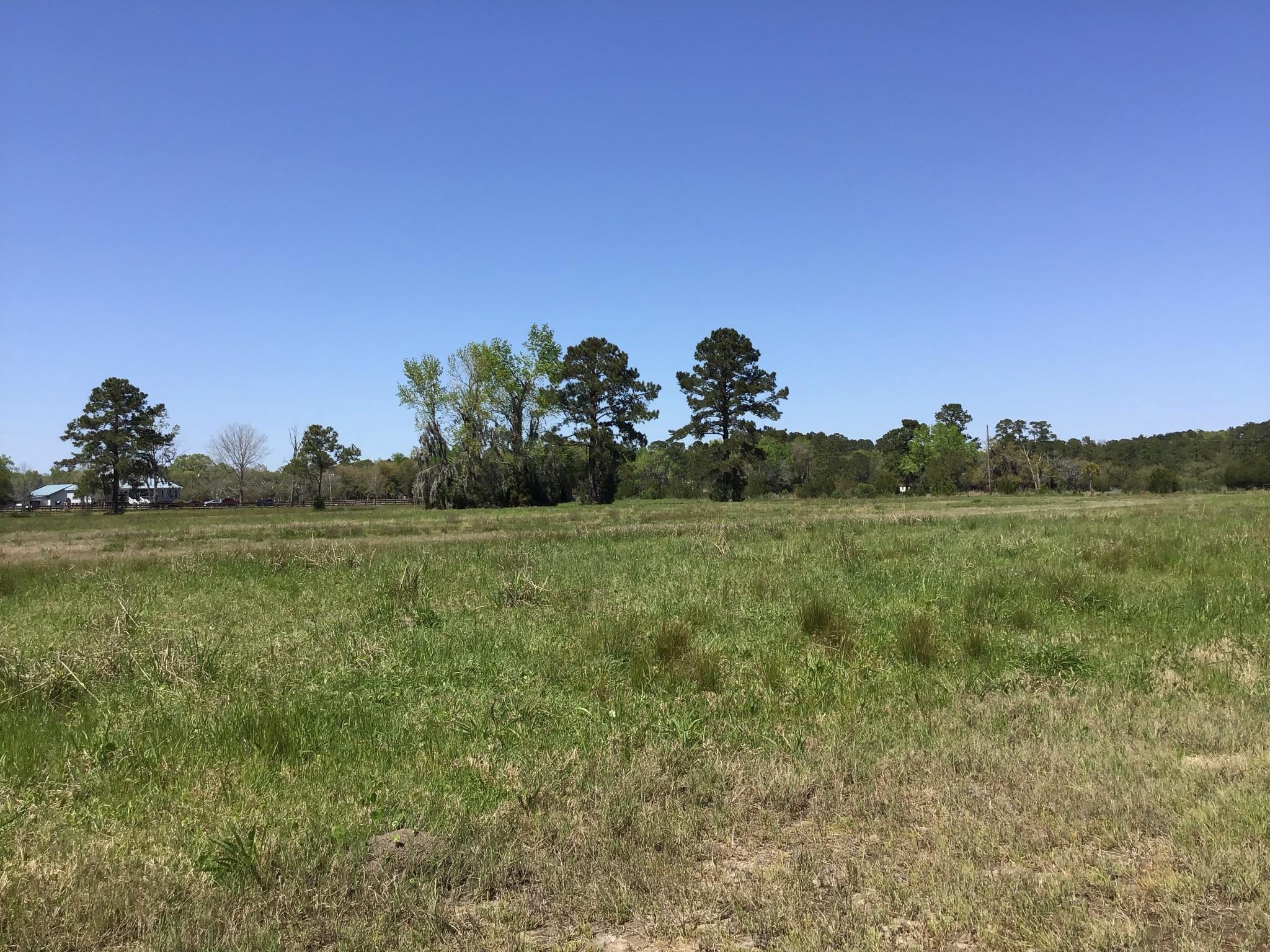 Tract B Wilson Road Meggett, SC 29449 - Photo 54 of 74 D_Urban_IMG_0605