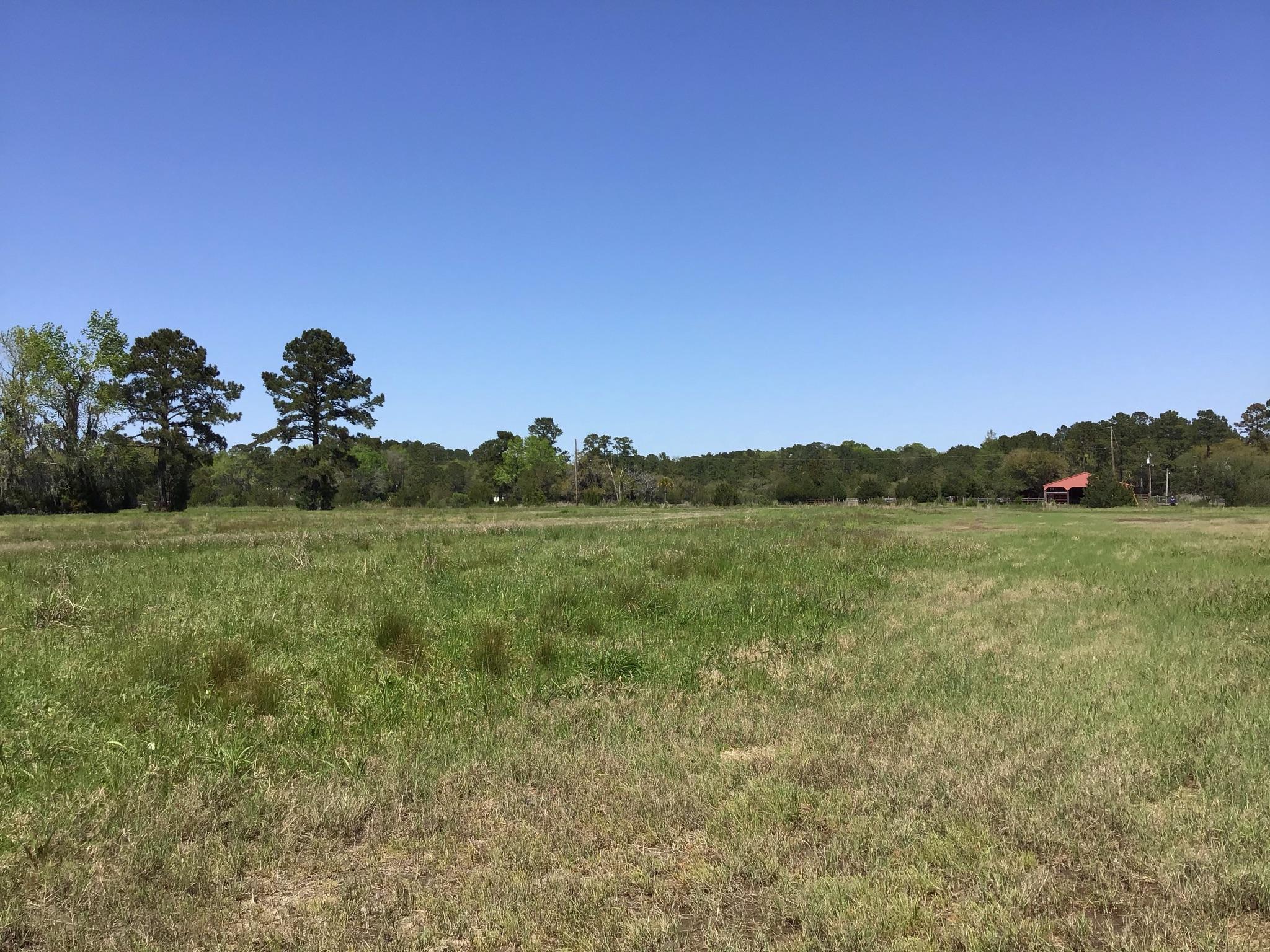 Tract B Wilson Road Meggett, SC 29449 - Photo 55 of 74 D_Urban_IMG_0606