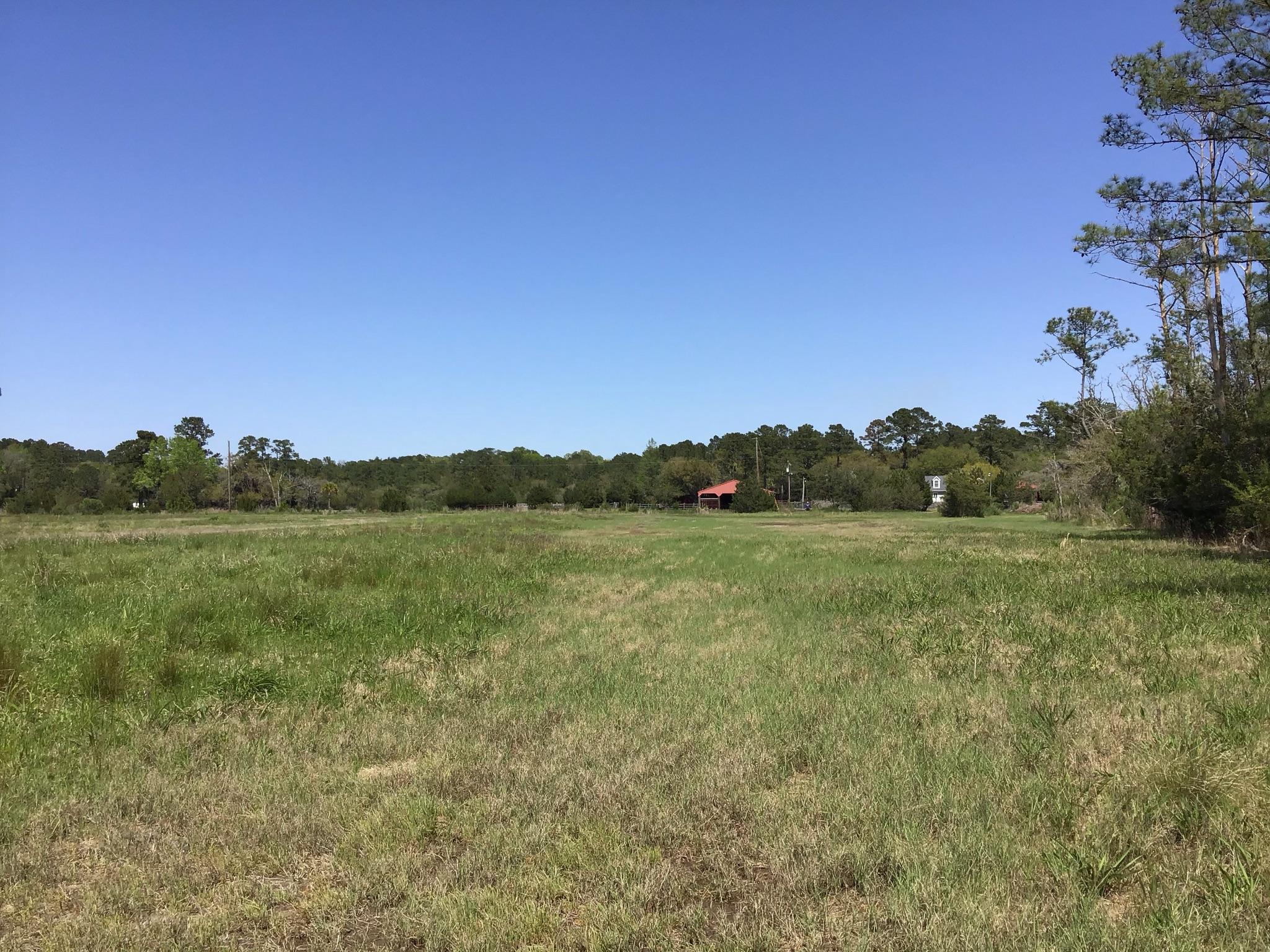 Tract B Wilson Road Meggett, SC 29449 - Photo 56 of 74 D_Urban_IMG_0607