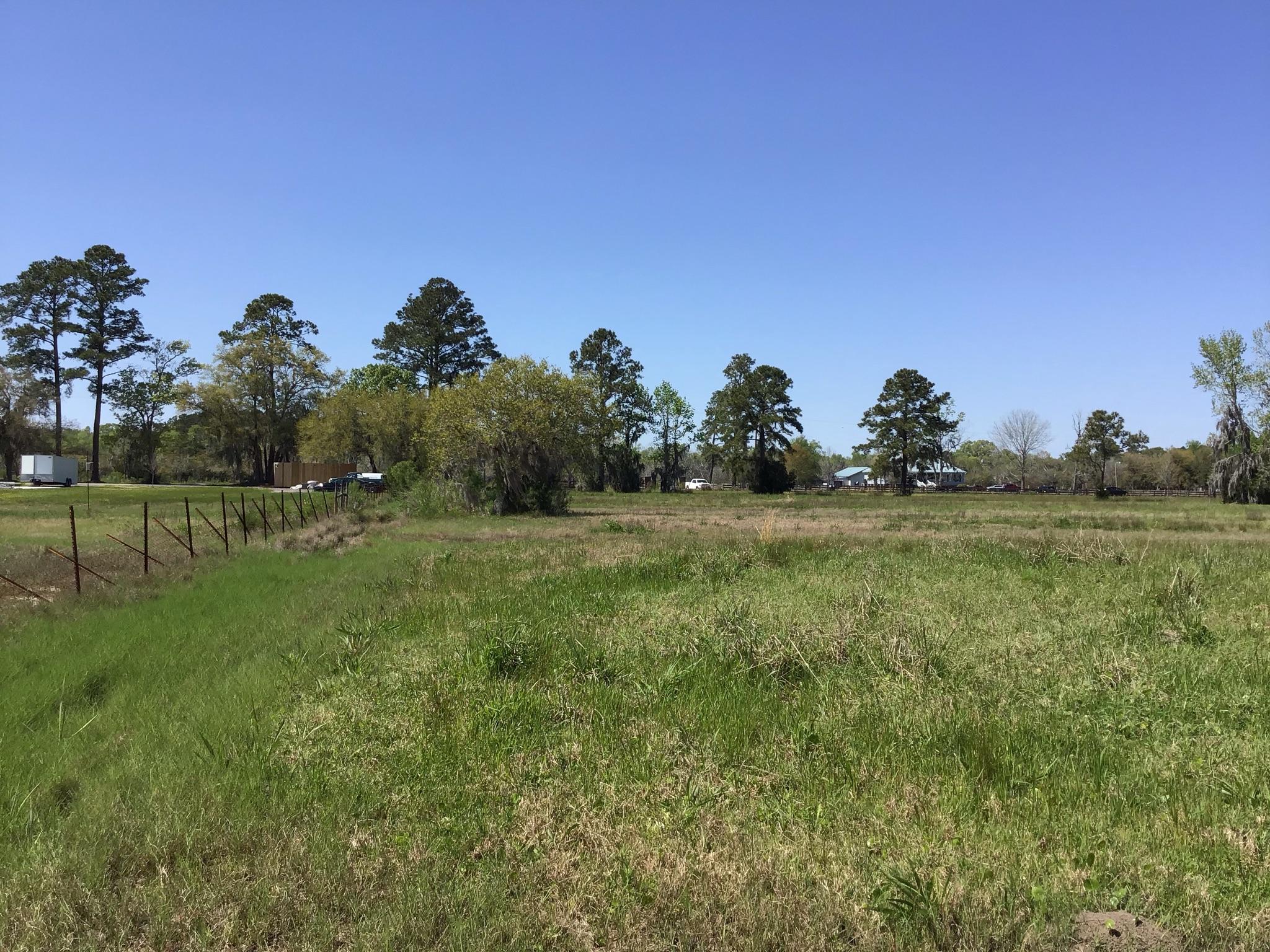 Tract B Wilson Road Meggett, SC 29449 - Photo 57 of 74 D_Urban_IMG_0608