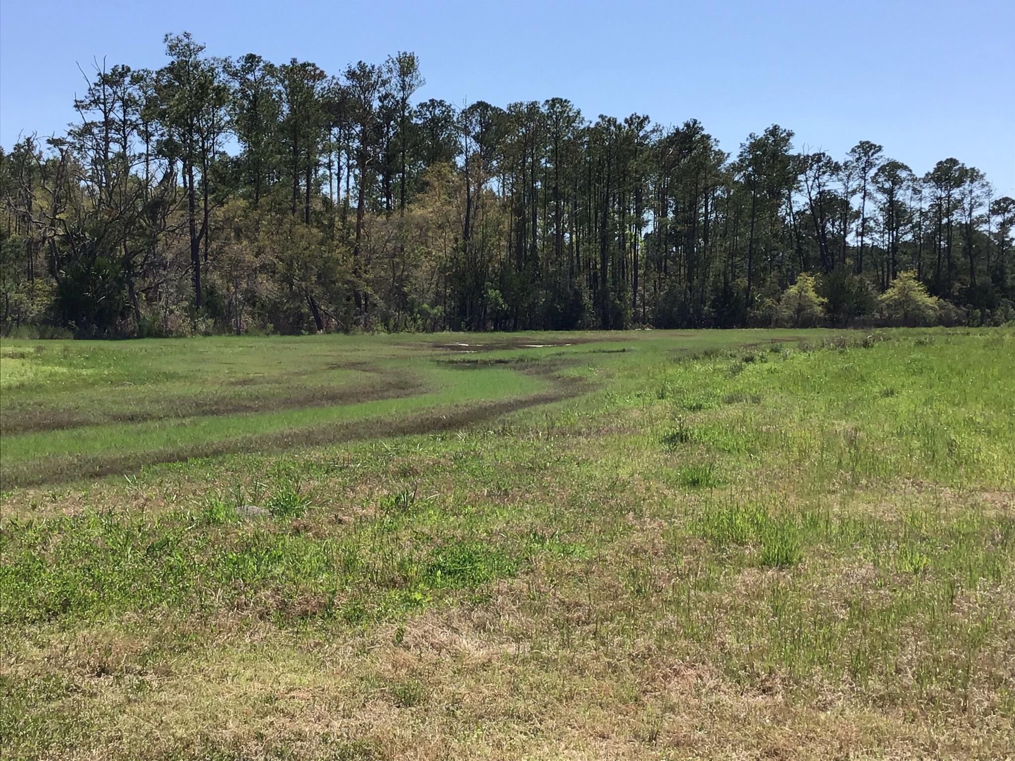 Tract B Wilson Road Meggett, SC 29449 - Photo 59 of 74 D_Urban_IMG_0613