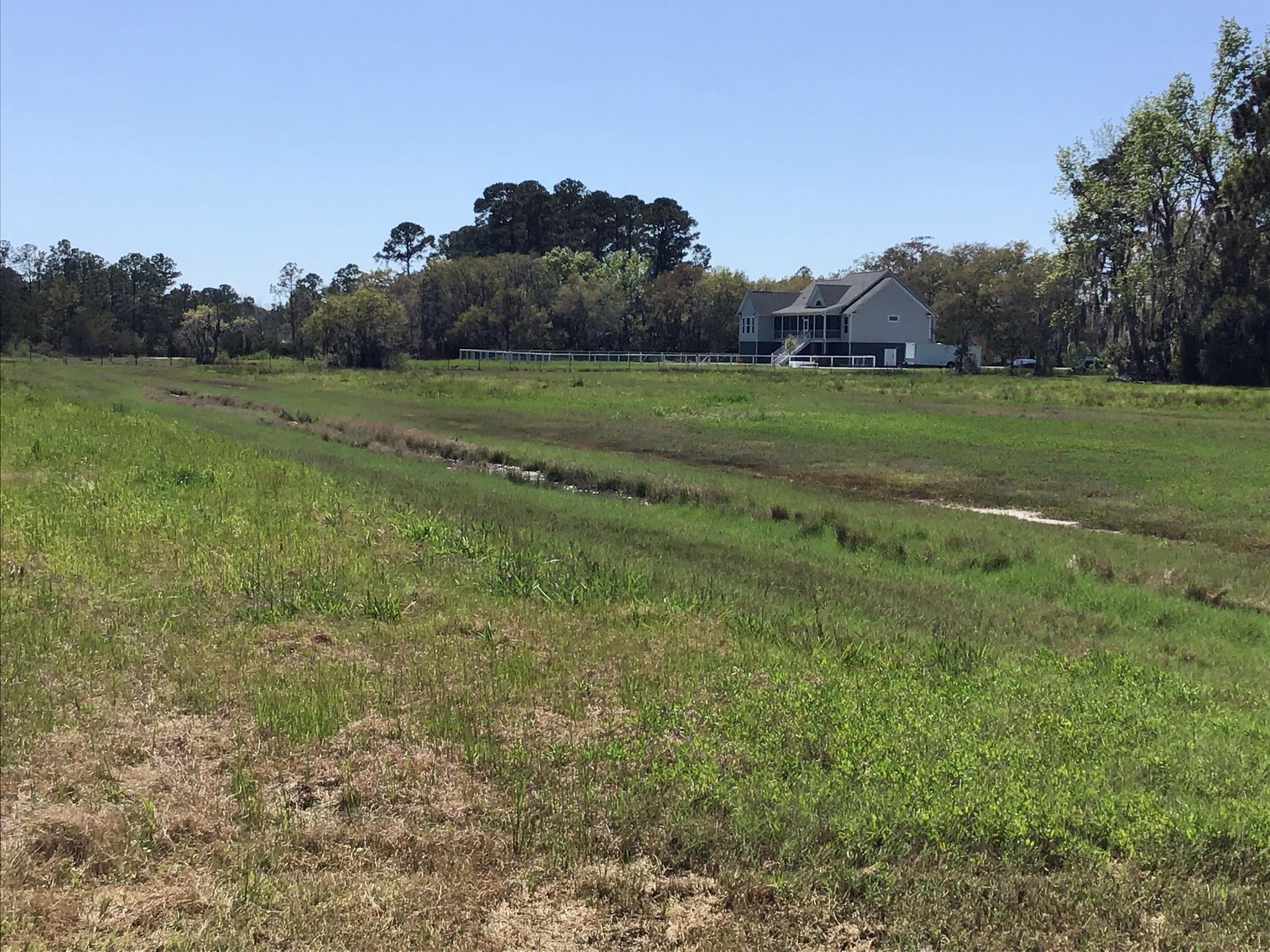 Tract B Wilson Road Meggett, SC 29449 - Photo 61 of 74 D_Urban_IMG_0615