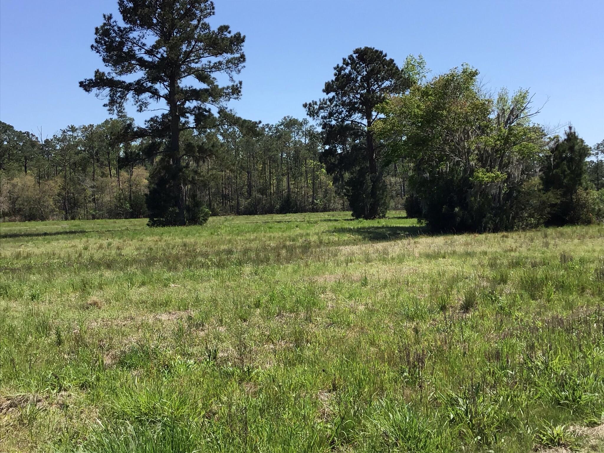 Tract B Wilson Road Meggett, SC 29449 - Photo 64 of 74 D_Urban_IMG_0618