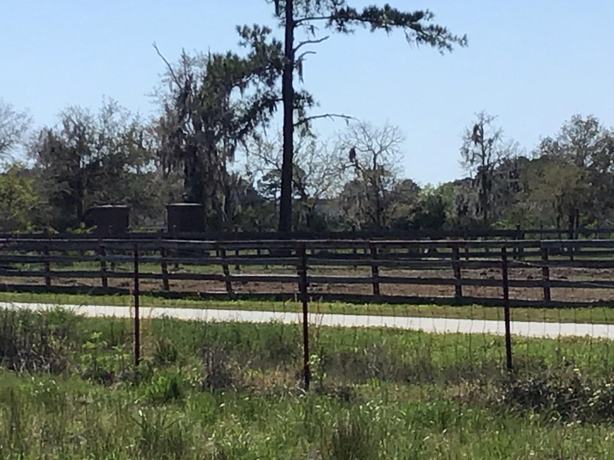 Tract B Wilson Road Meggett, SC 29449 - Photo 66 of 74 D_Urban_IMG_0620