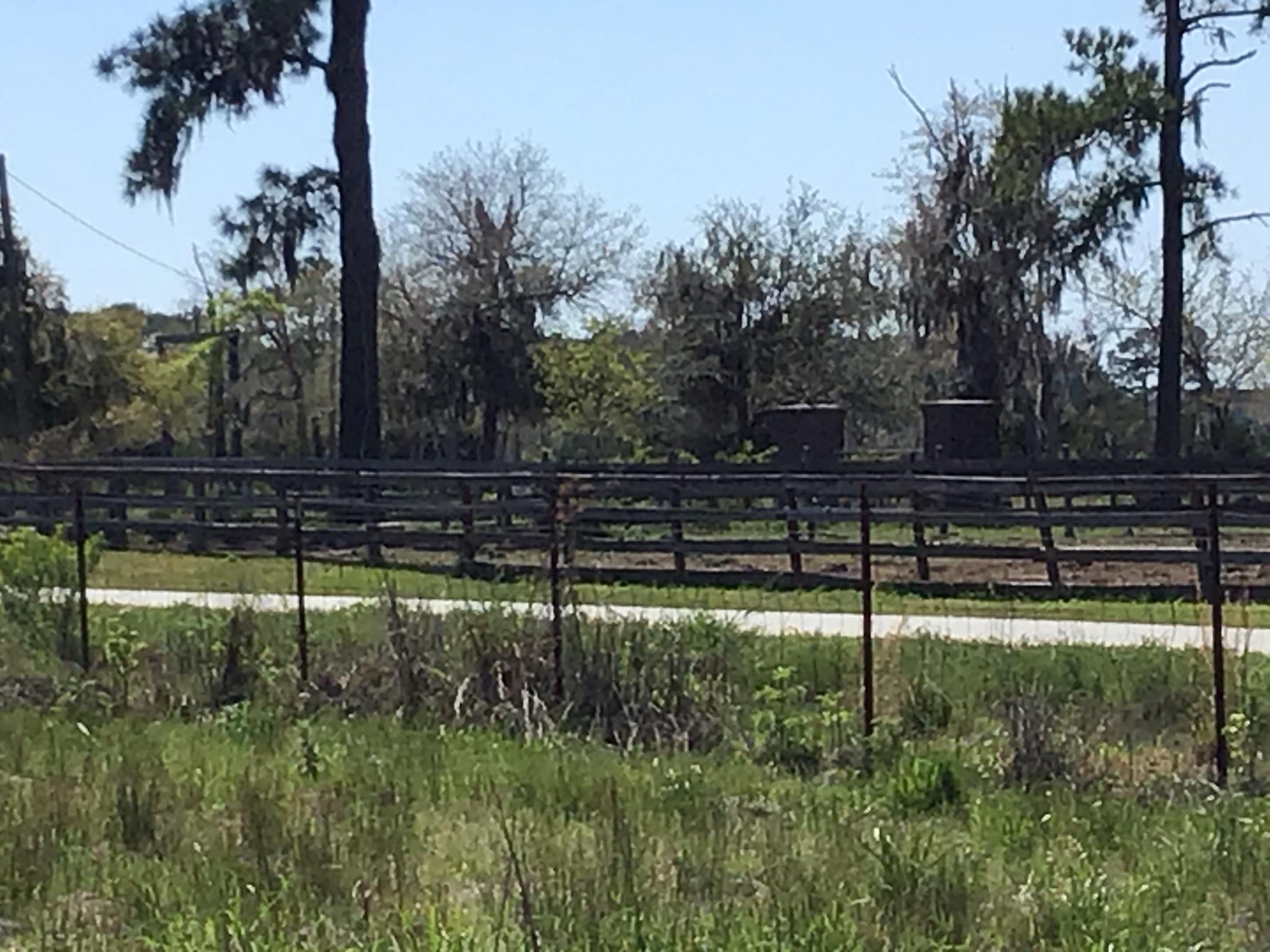 Tract B Wilson Road Meggett, SC 29449 - Photo 67 of 74 D_Urban_IMG_0621