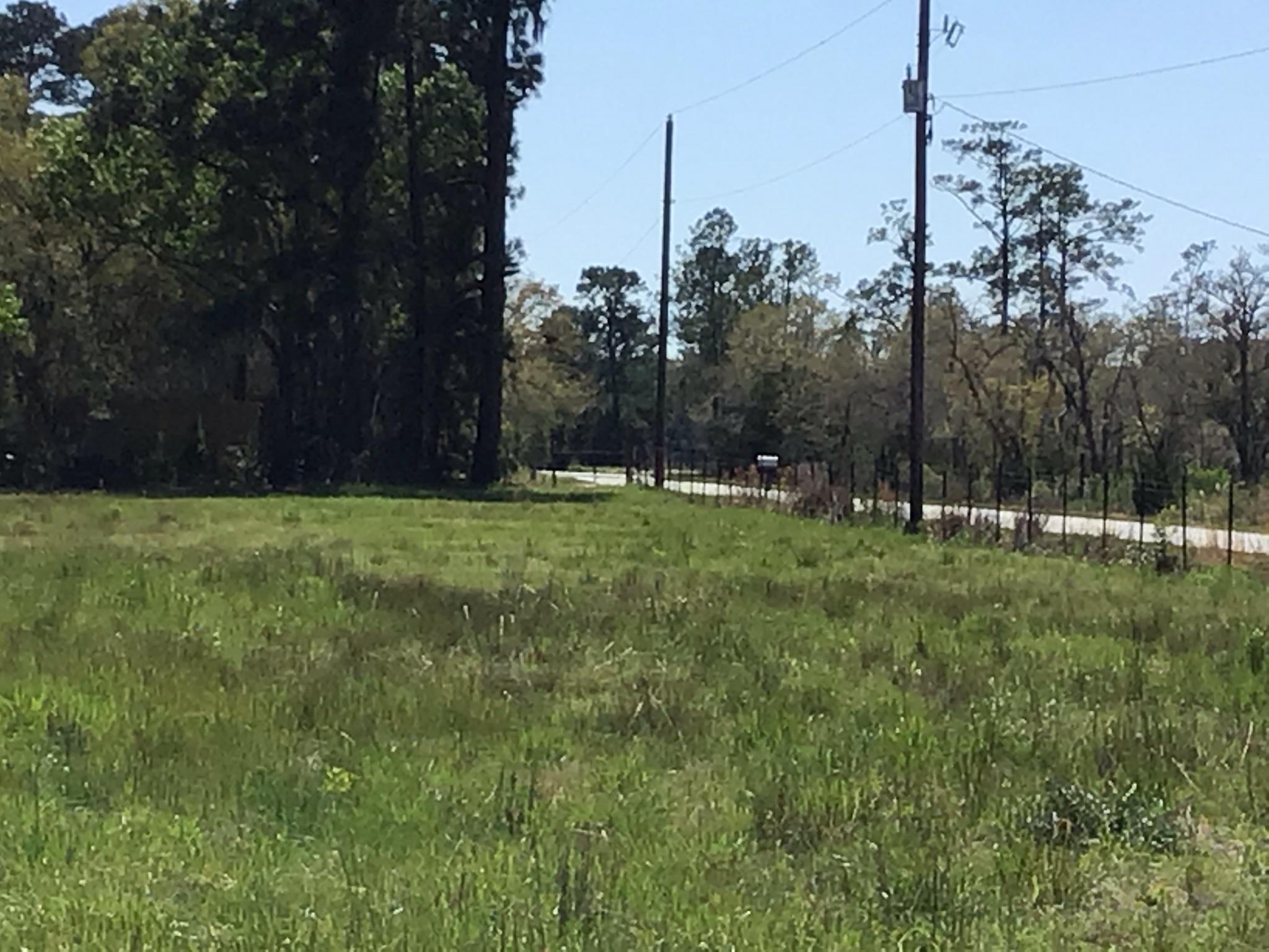 Tract B Wilson Road Meggett, SC 29449 - Photo 68 of 74 D_Urban_IMG_0622