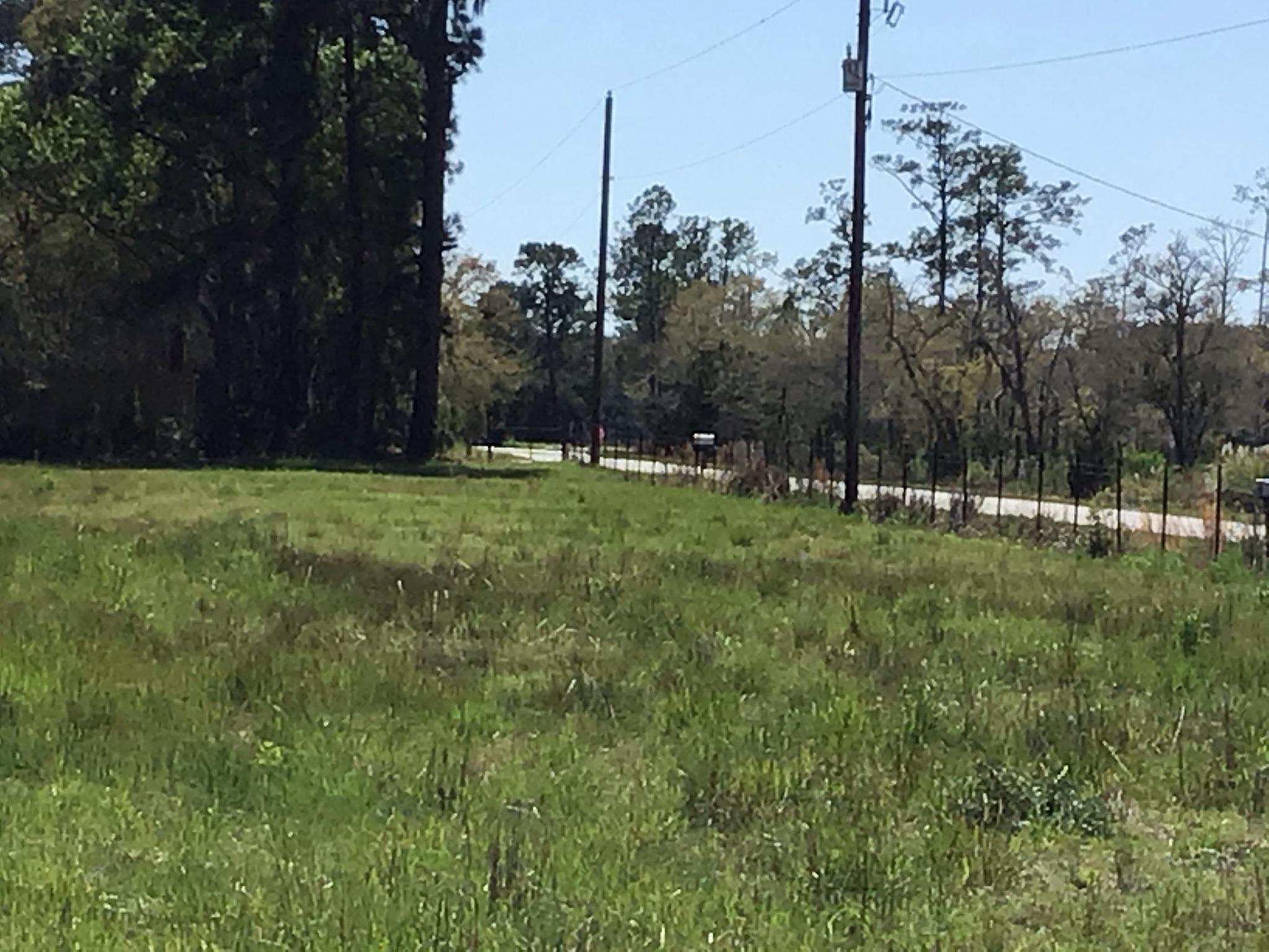 Tract B Wilson Road Meggett, SC 29449 - Photo 69 of 74 D_Urban_IMG_0623