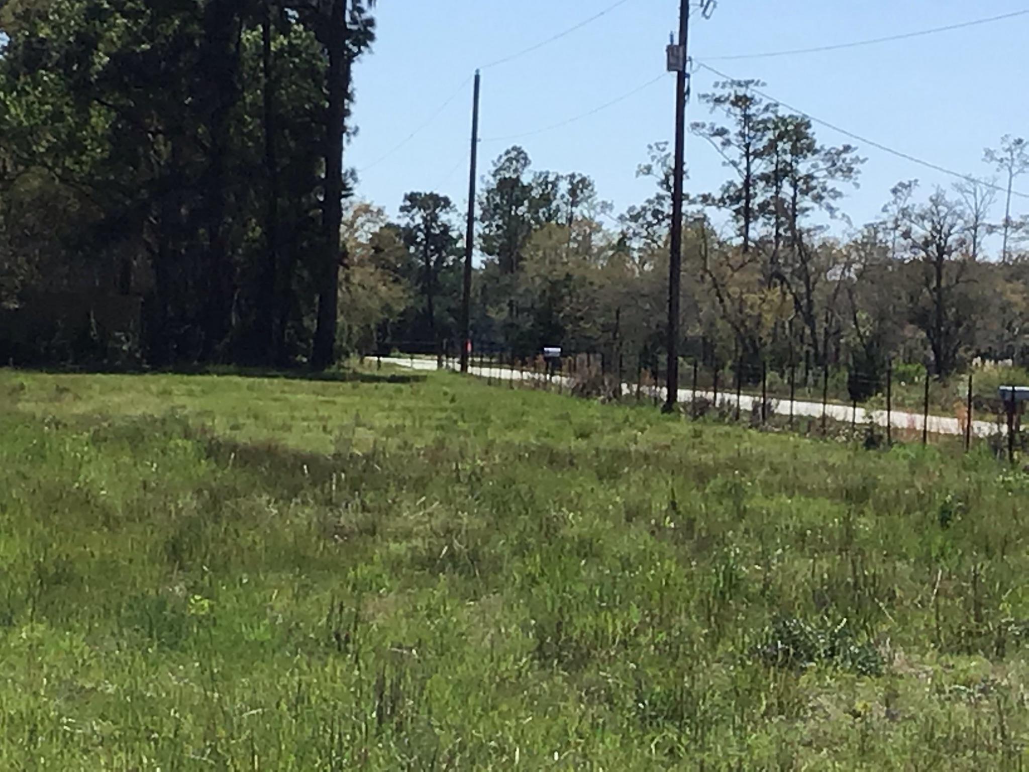 Tract B Wilson Road Meggett, SC 29449 - Photo 70 of 74 D_Urban_IMG_0624