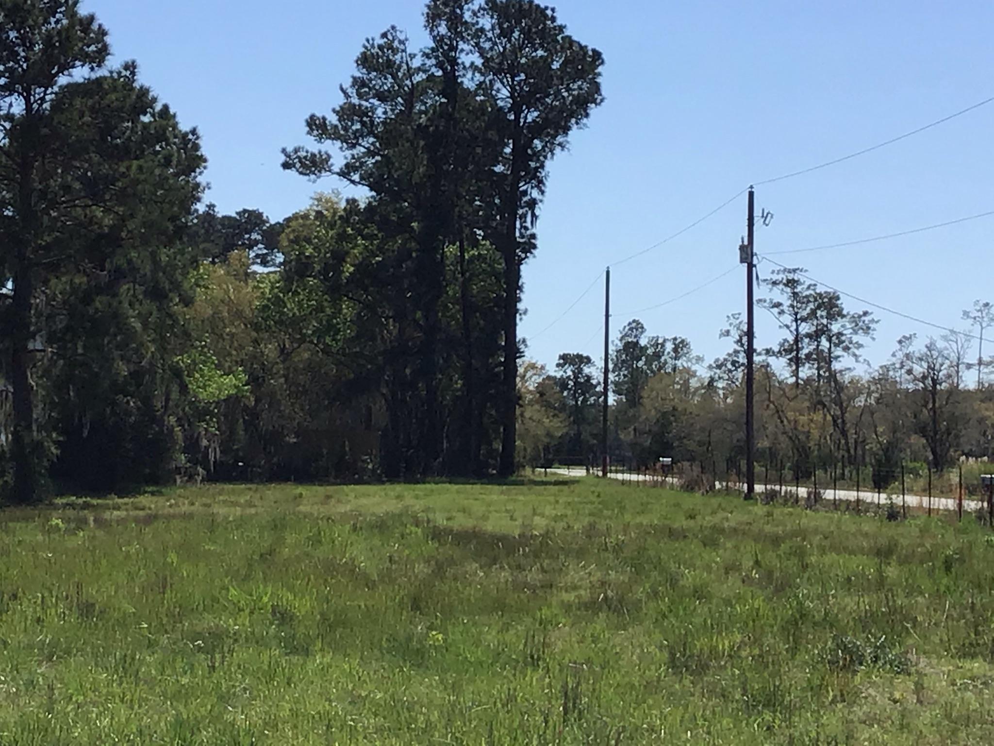 Tract B Wilson Road Meggett, SC 29449 - Photo 72 of 74 D_Urban_IMG_0626