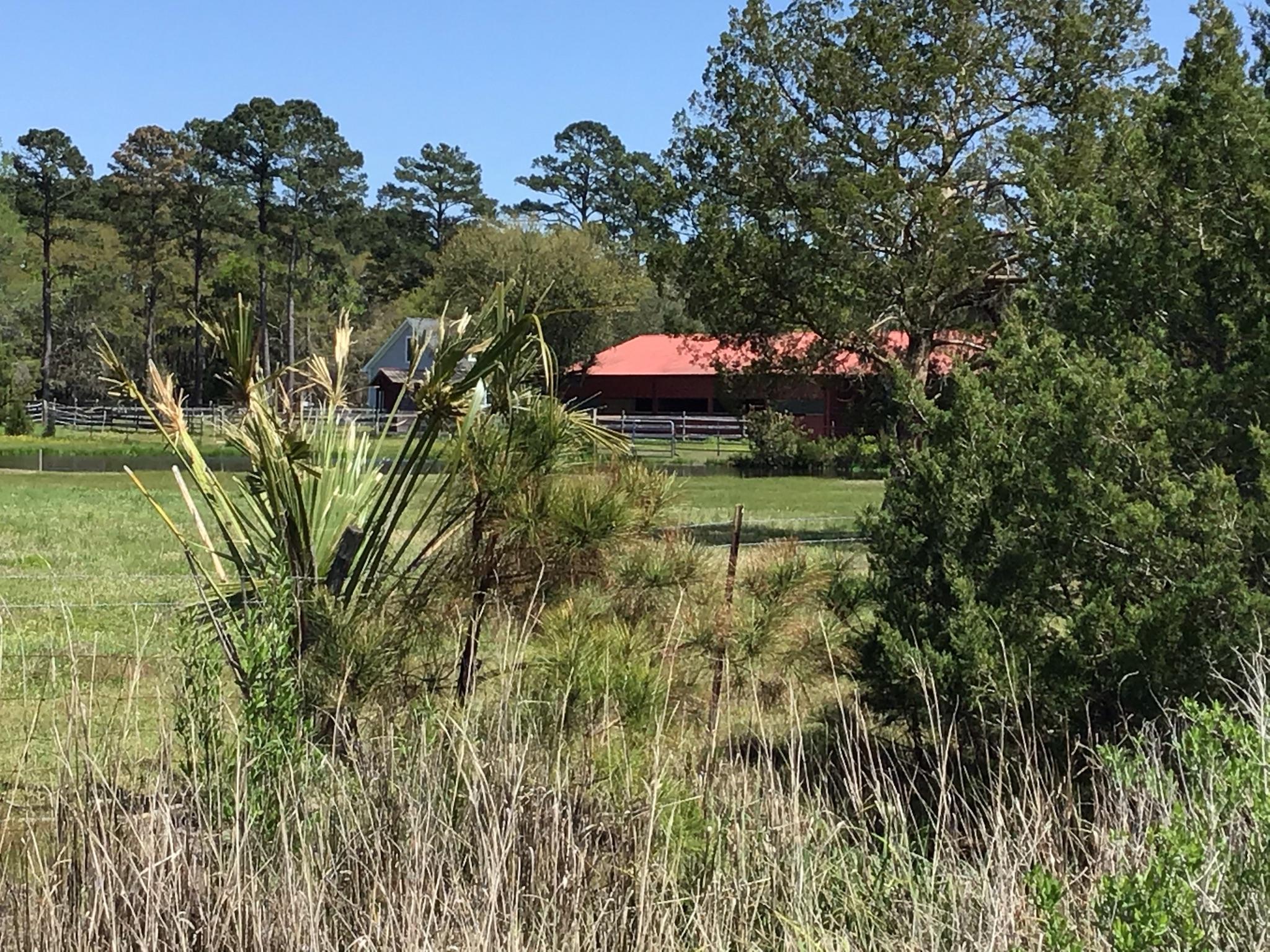 Tract B Wilson Road Meggett, SC 29449 - Photo 10 of 74 D_Urban_IMG_0557