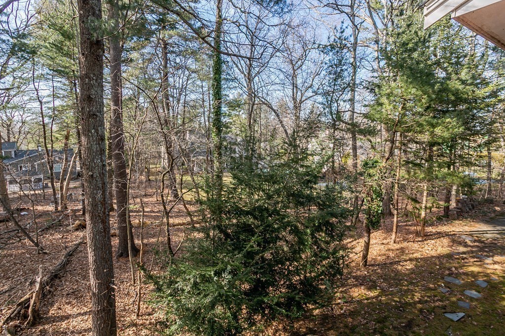 47 Scott Road Needham, MA 02492 - Photo 18 of 25 Gallery Image 18