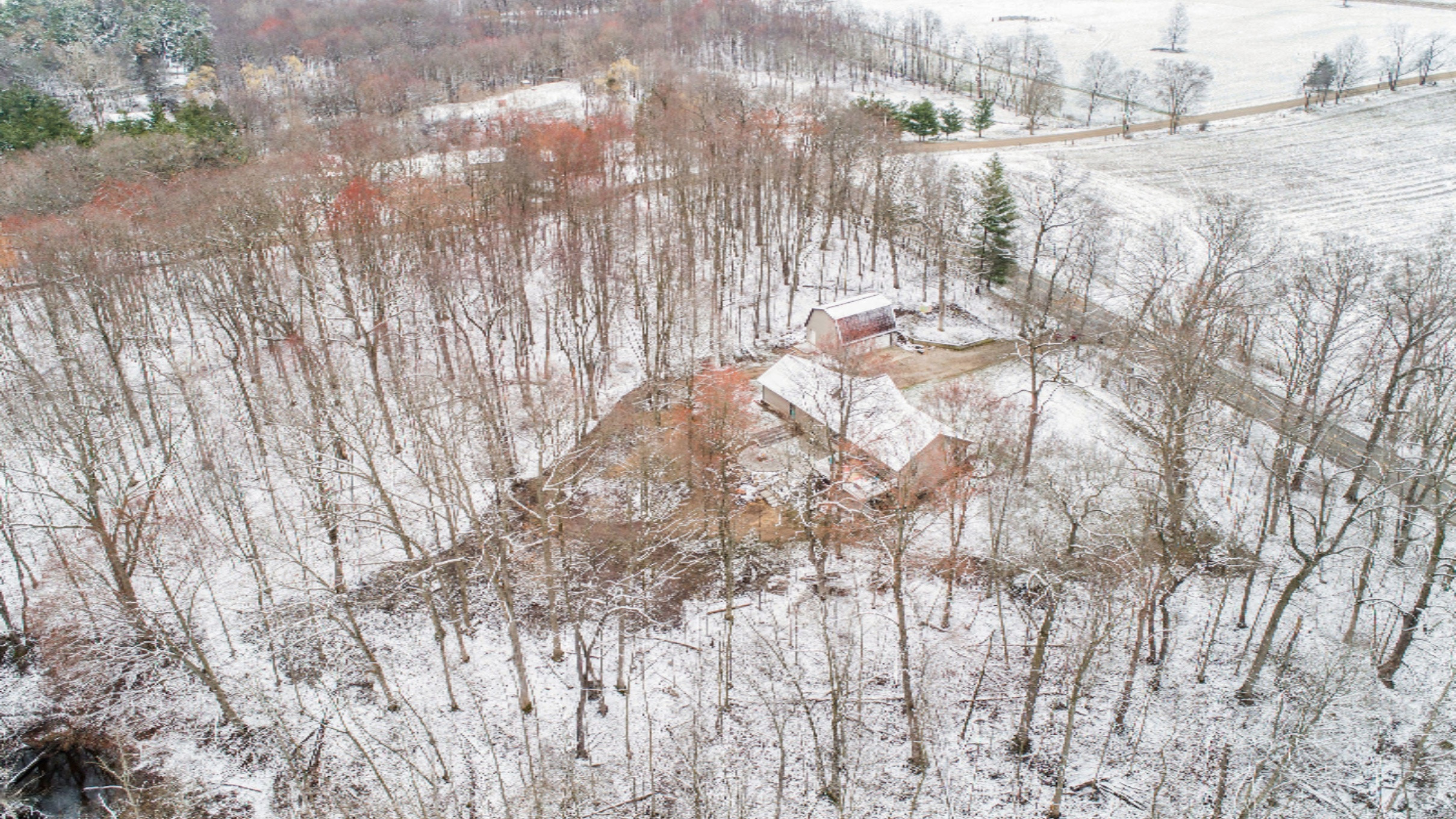 1935 East Parmeter Road Ionia, MI 48846 - Photo 49 of 54 DJI_0349