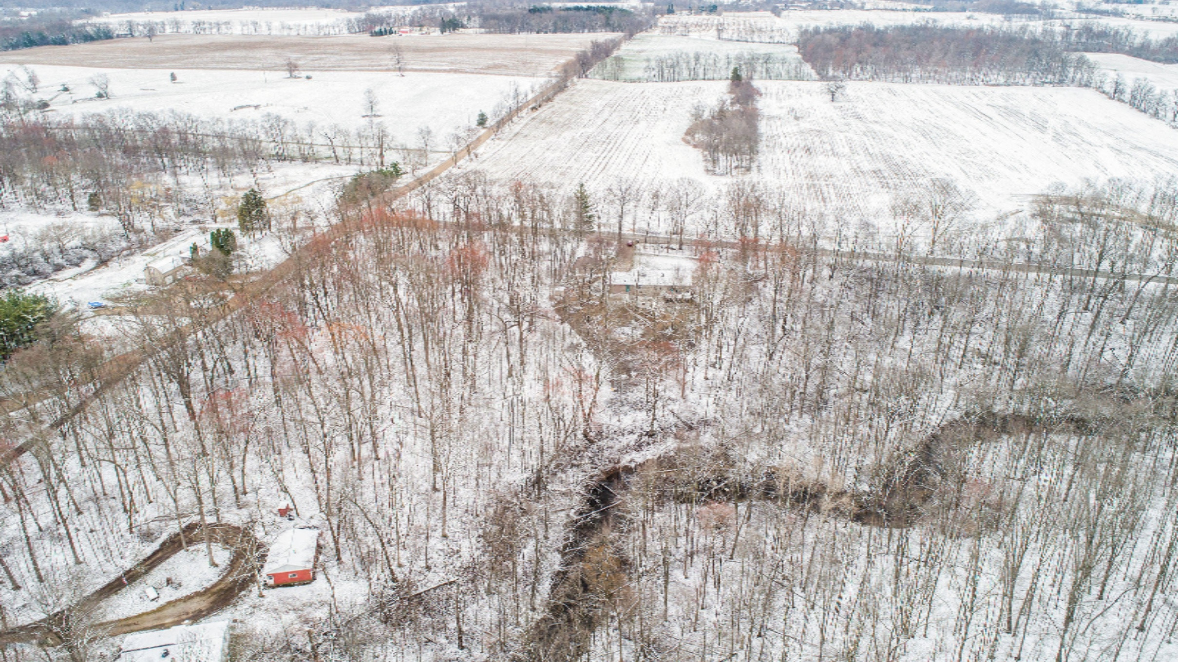 1935 East Parmeter Road Ionia, MI 48846 - Photo 50 of 54 DJI_0350