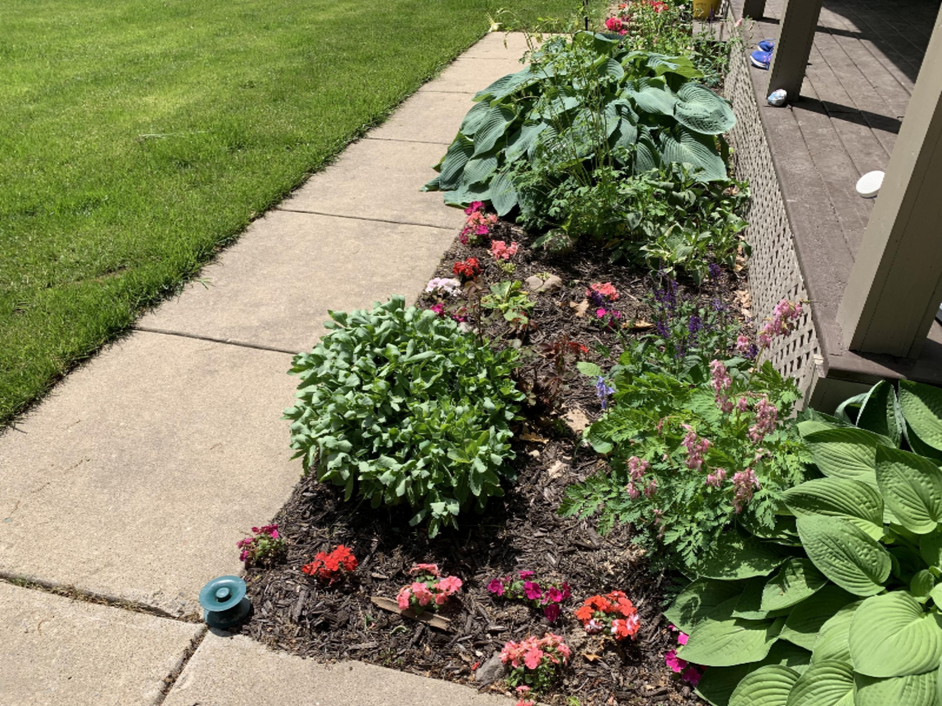 1935 East Parmeter Road Ionia, MI 48846 - Photo 6 of 54 IMG_0160