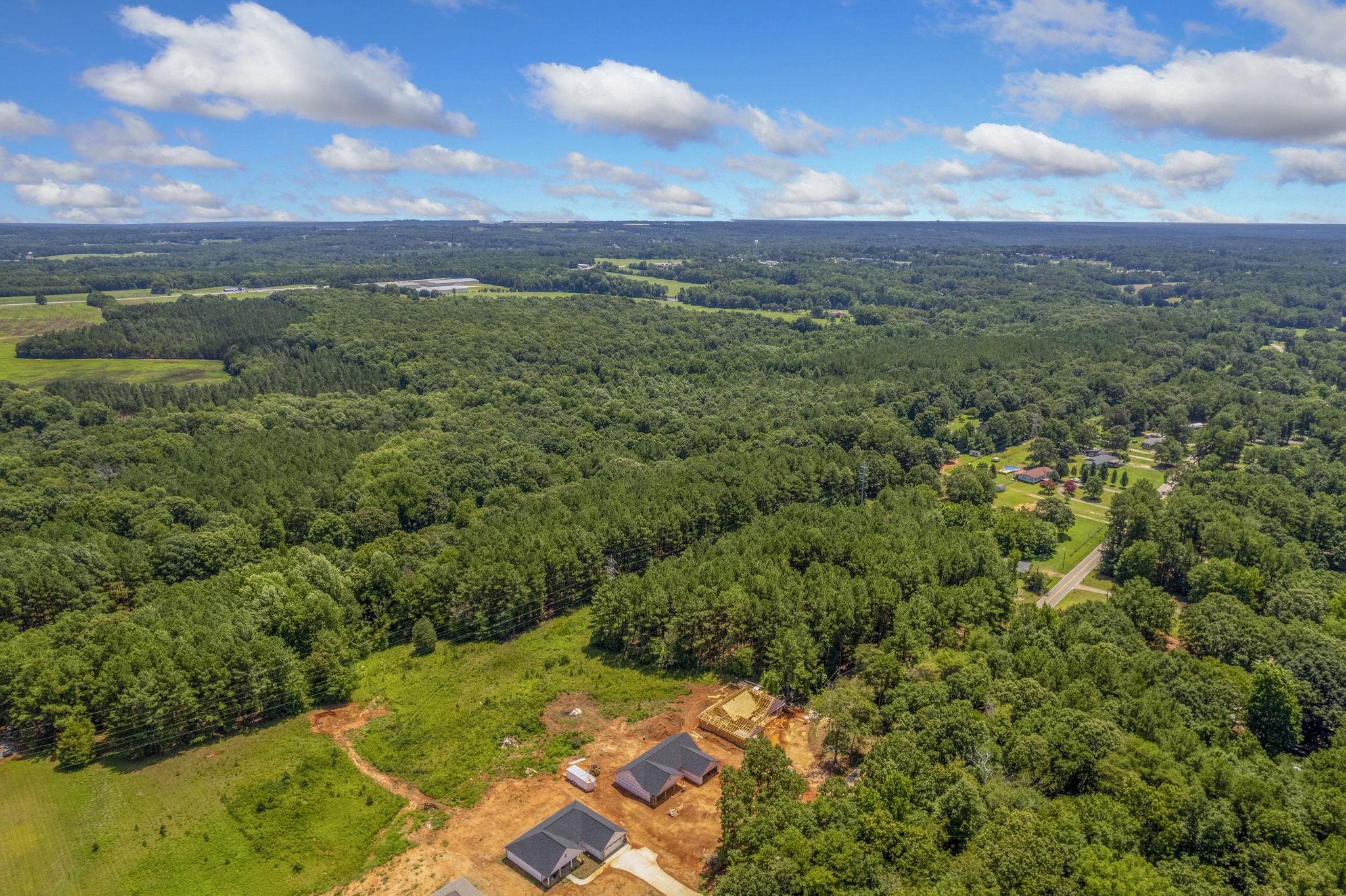 1391 Ezell Road Chesnee, SC 29323 - Photo 2 of 12
