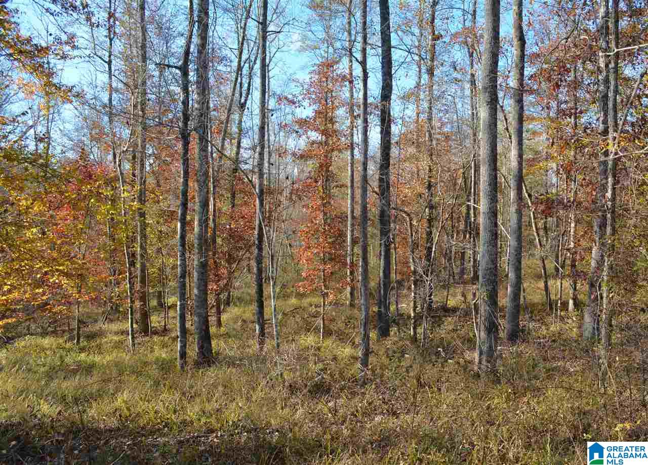 8333 Chelsea Road, Unit 2 Columbiana, AL 35051 - Photo 4 of 13