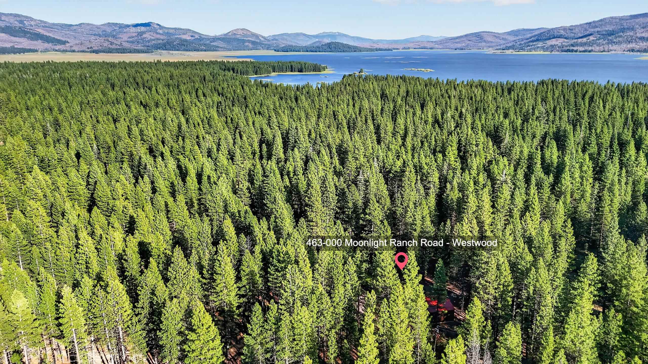 463-000 Moonlight Ranch Rd Westwood Road Susanville, CA 96130 - Photo 42 of 46 a view of a lush green forest with a lake and mountain view