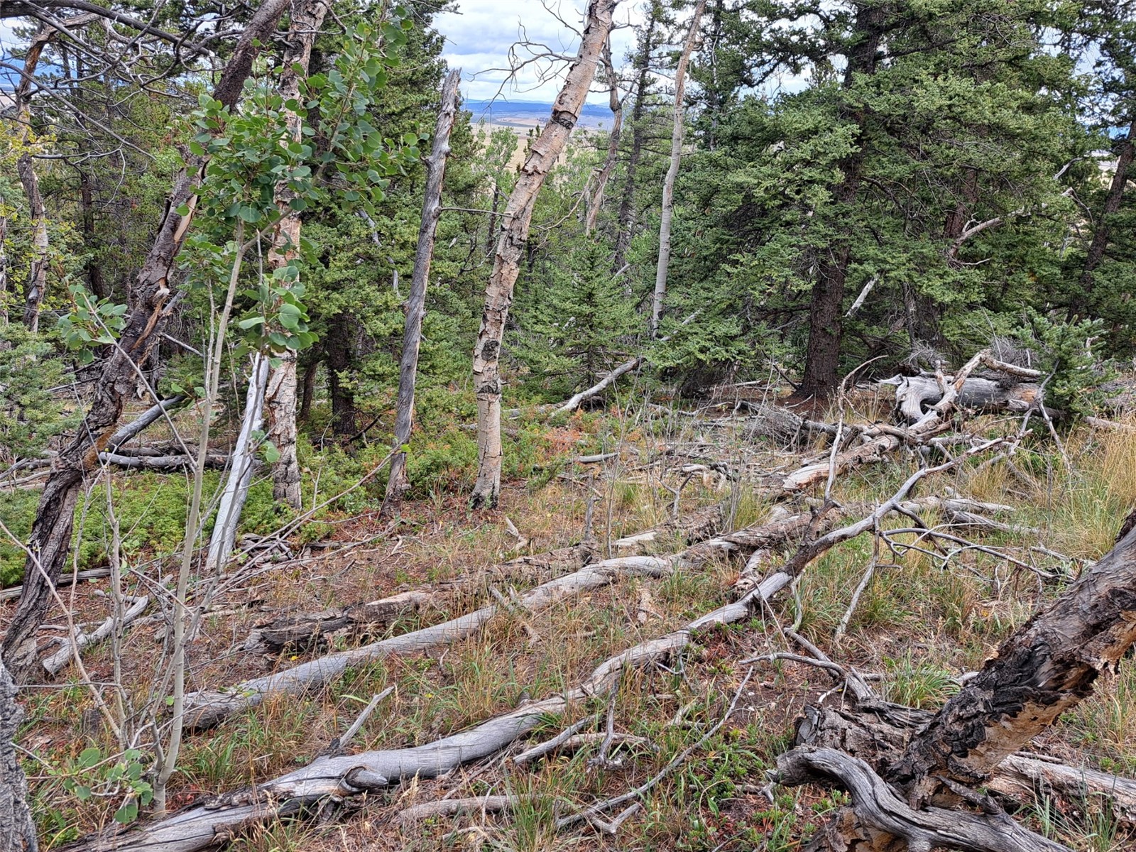 1844 High Creek Road Fairplay, CO 80440 - Photo 25 of 29 Gallery Image 25
