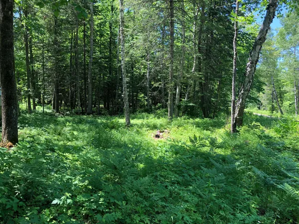 $62,500 | Tbd Rush Island Lake Road, Spring Lake, MN 56680