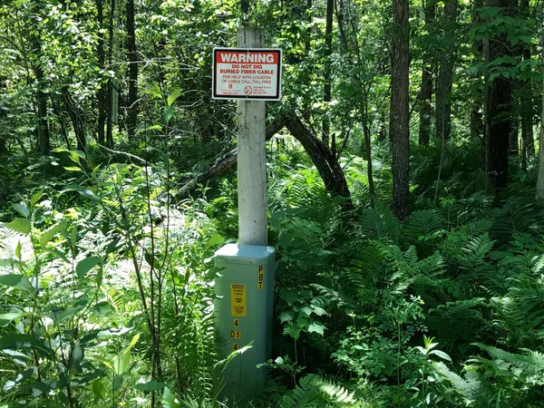 $62,500 | Tbd Rush Island Lake Road, Spring Lake, MN 56680