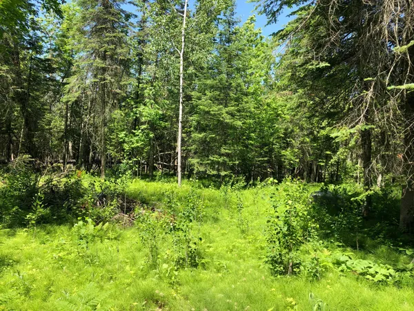 $62,500 | Tbd Rush Island Lake Road, Spring Lake, MN 56680