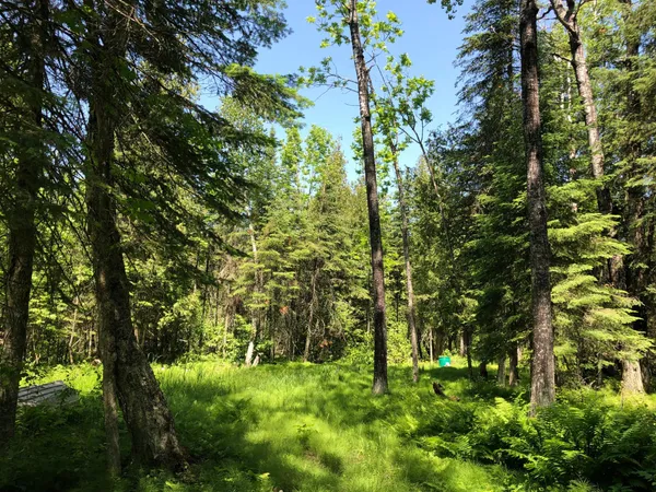 $62,500 | Tbd Rush Island Lake Road, Spring Lake, MN 56680