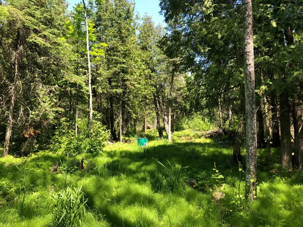 $62,500 | Tbd Rush Island Lake Road, Spring Lake, MN 56680