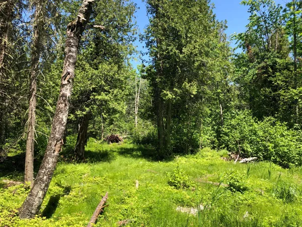 $62,500 | Tbd Rush Island Lake Road, Spring Lake, MN 56680