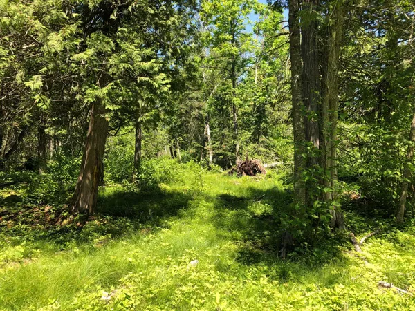 $62,500 | Tbd Rush Island Lake Road, Spring Lake, MN 56680