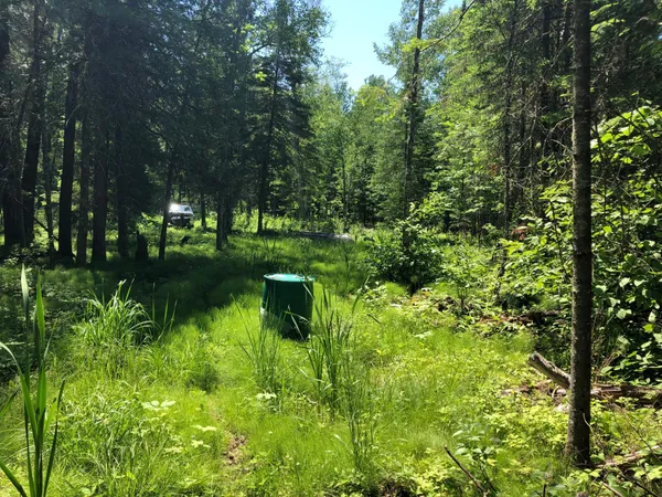 $62,500 | Tbd Rush Island Lake Road, Spring Lake, MN 56680