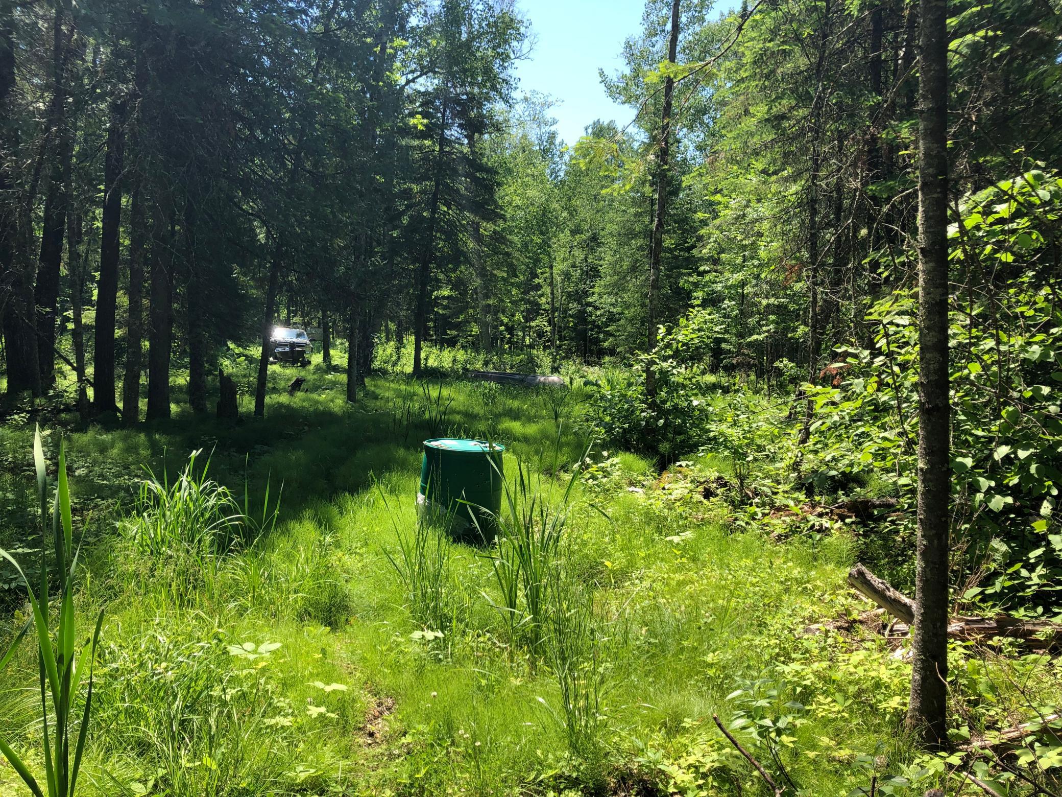 Tbd Rush Island Lake Road Spring Lake, MN 56680 - Photo 21 of 21