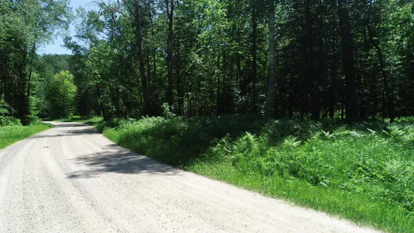 $62,500 | Tbd Rush Island Lake Road, Spring Lake, MN 56680