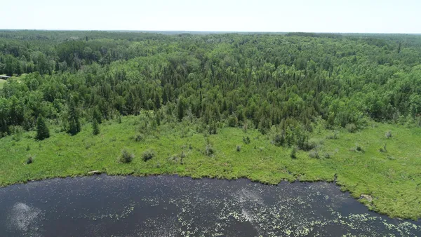 $62,500 | Tbd Rush Island Lake Road, Spring Lake, MN 56680