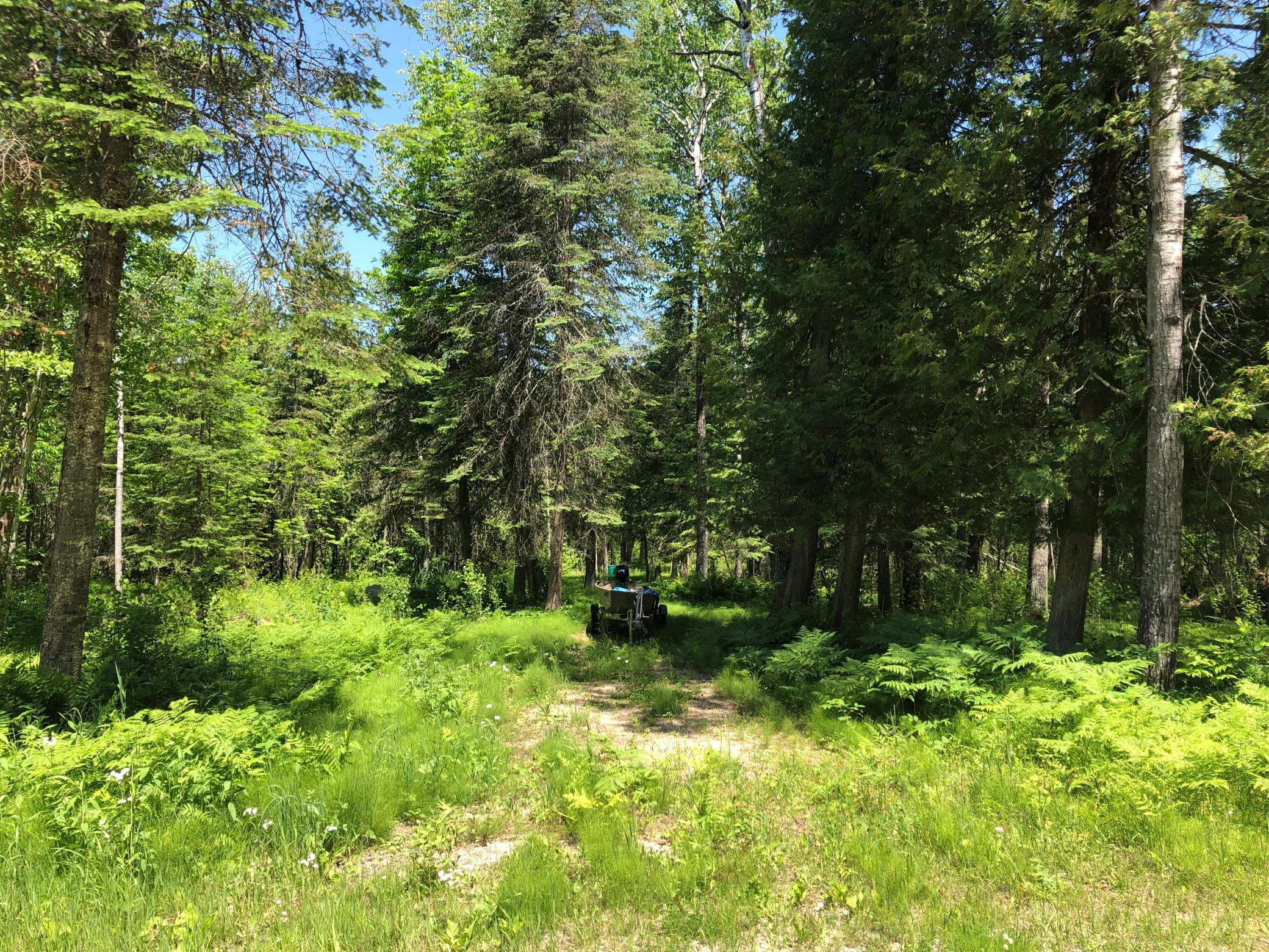 Tbd Rush Island Lake Road Spring Lake, MN 56680 - Photo 7 of 21