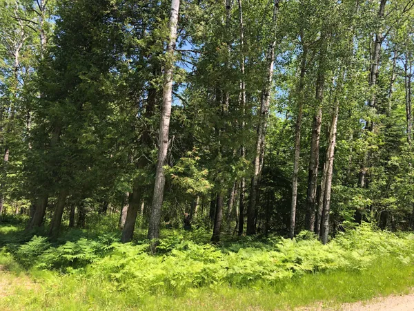 $62,500 | Tbd Rush Island Lake Road, Spring Lake, MN 56680