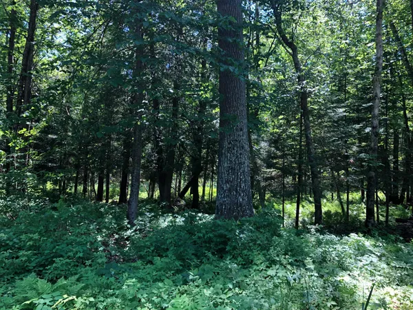 $62,500 | Tbd Rush Island Lake Road, Spring Lake, MN 56680