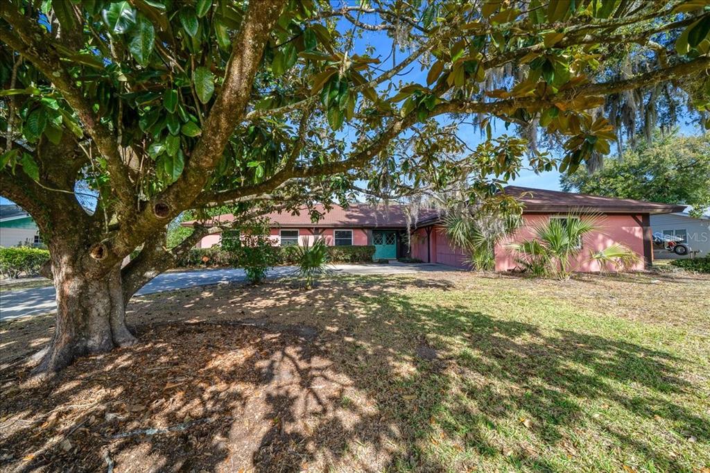 2147 Northeast 7th Street Ocala, FL 34470 - Photo 4 of 59