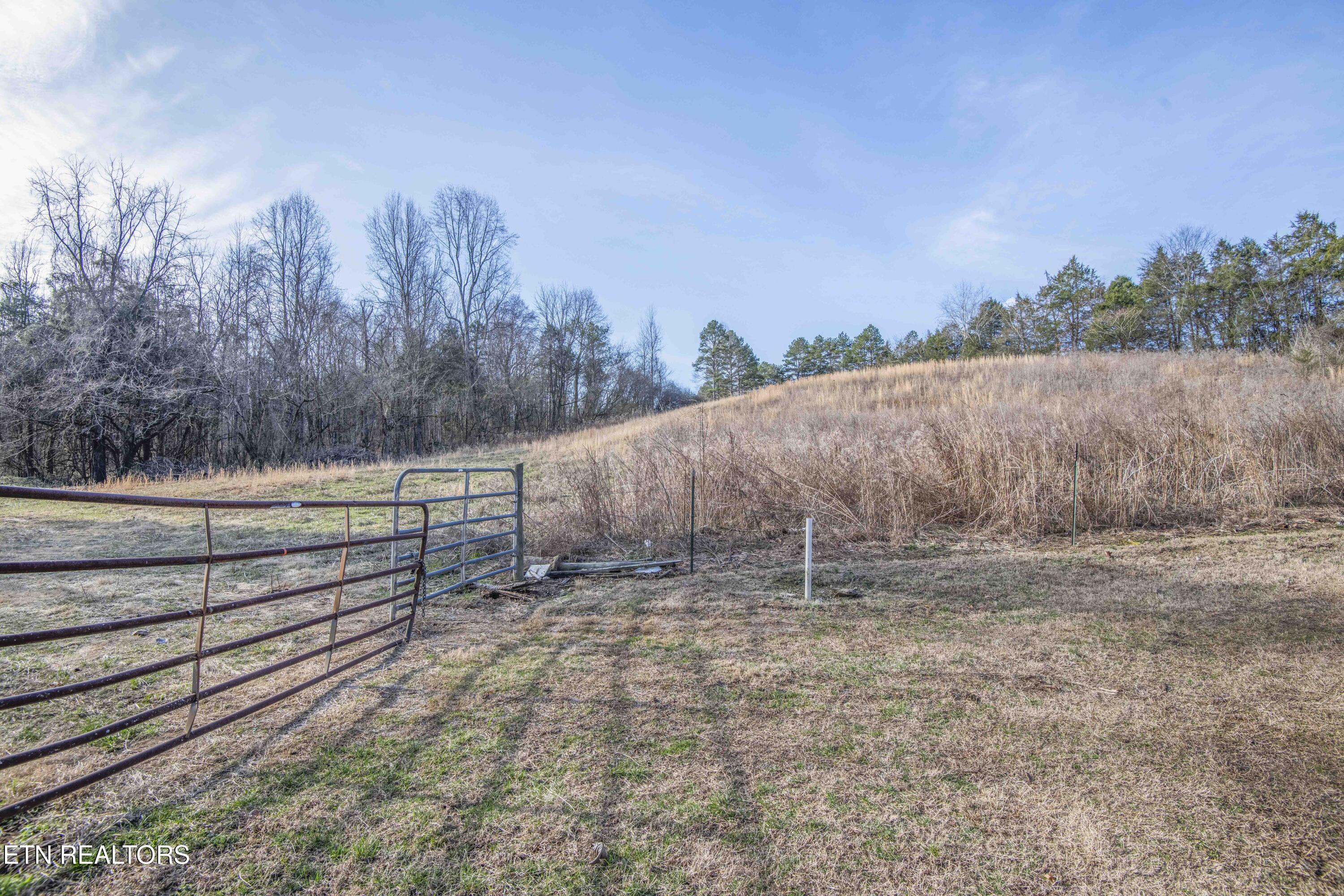 259 Sherman Road Ten Mile, TN 37880 - Photo 15 of 51 ground 2_1