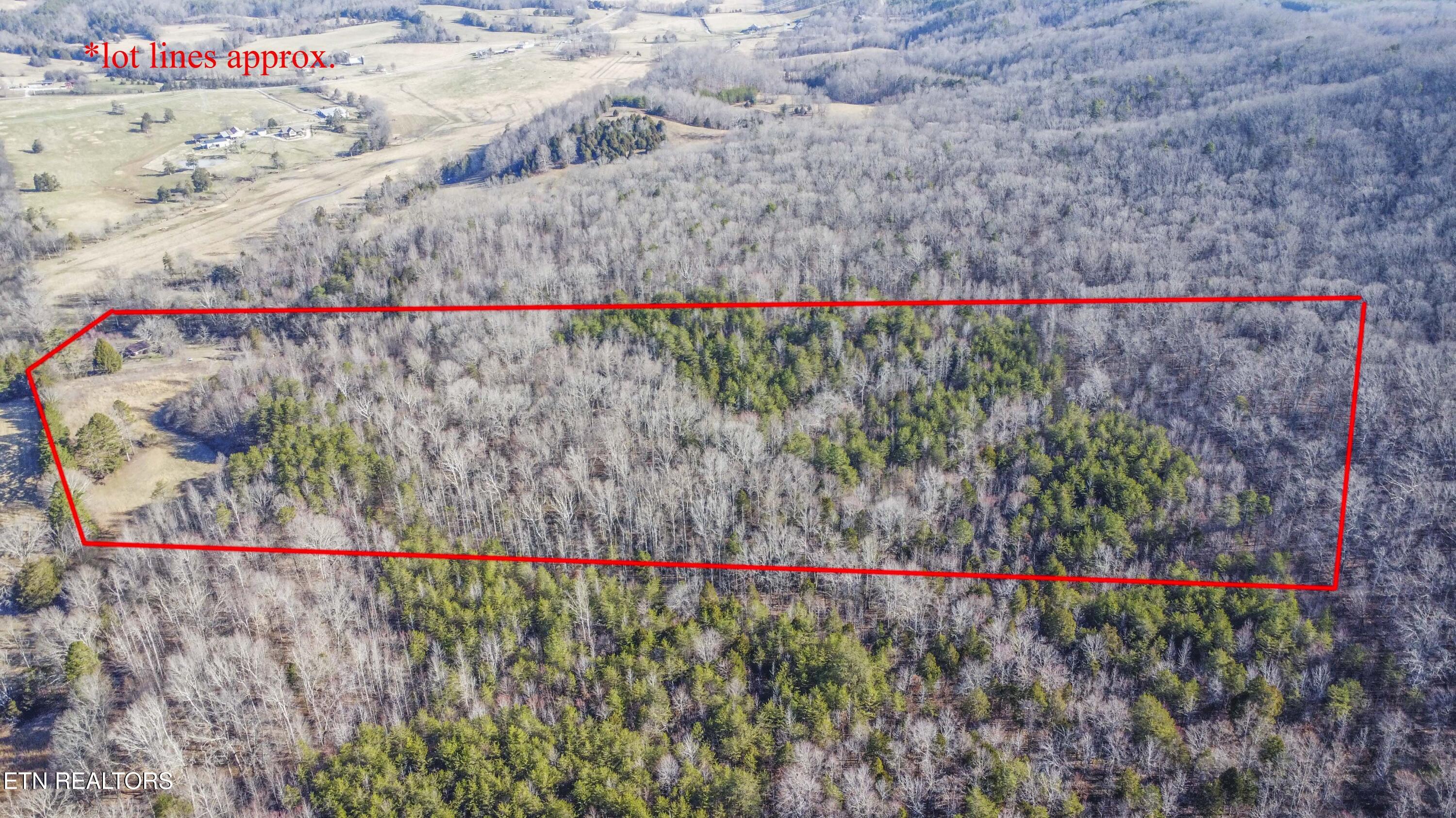 259 Sherman Road Ten Mile, TN 37880 - Photo 21 of 51 drone 10_1