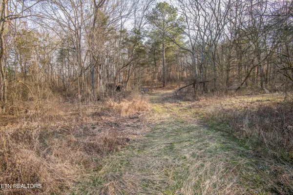 $725,000 | 259 Sherman Road, Ten Mile, TN 37880