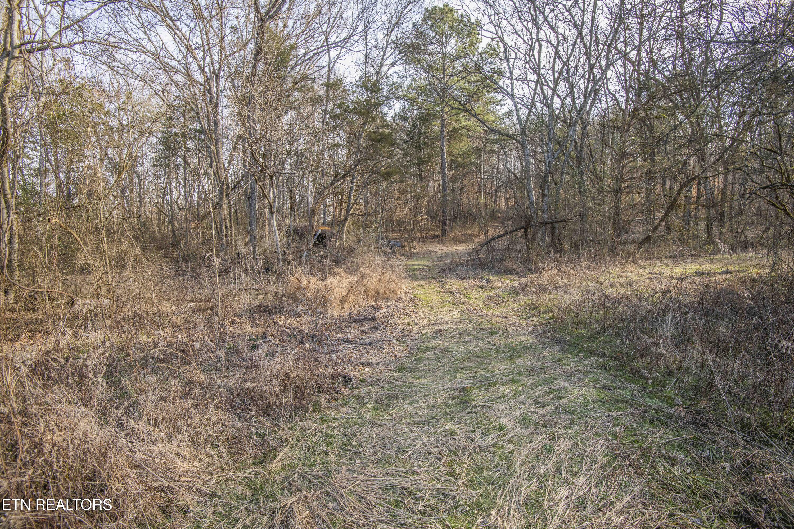 259 Sherman Road Ten Mile, TN 37880 - Photo 23 of 51 ground 1_1