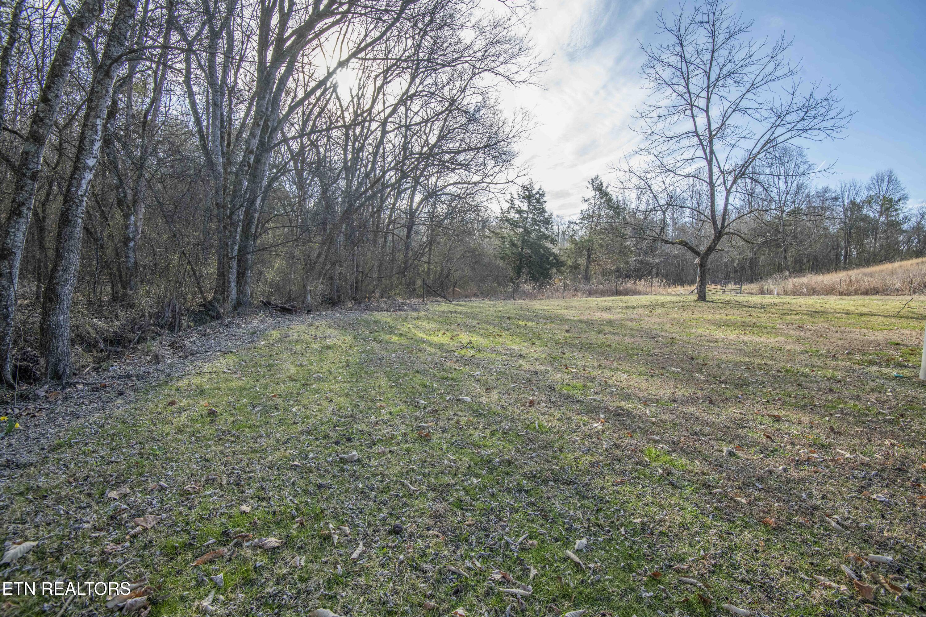 259 Sherman Road Ten Mile, TN 37880 - Photo 24 of 51 ground 4_1